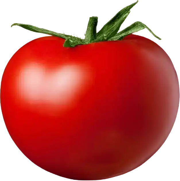 tomate-okan2